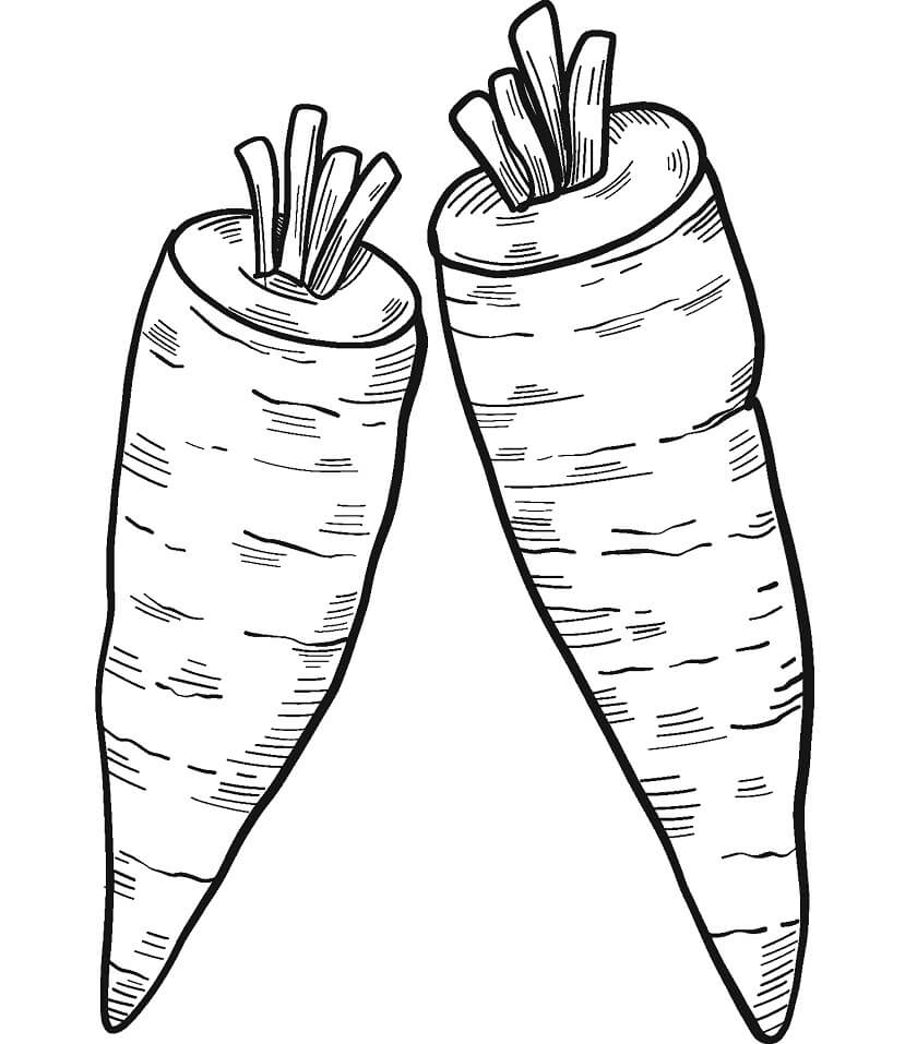 desenho duas cenouras para colorir e imprimir