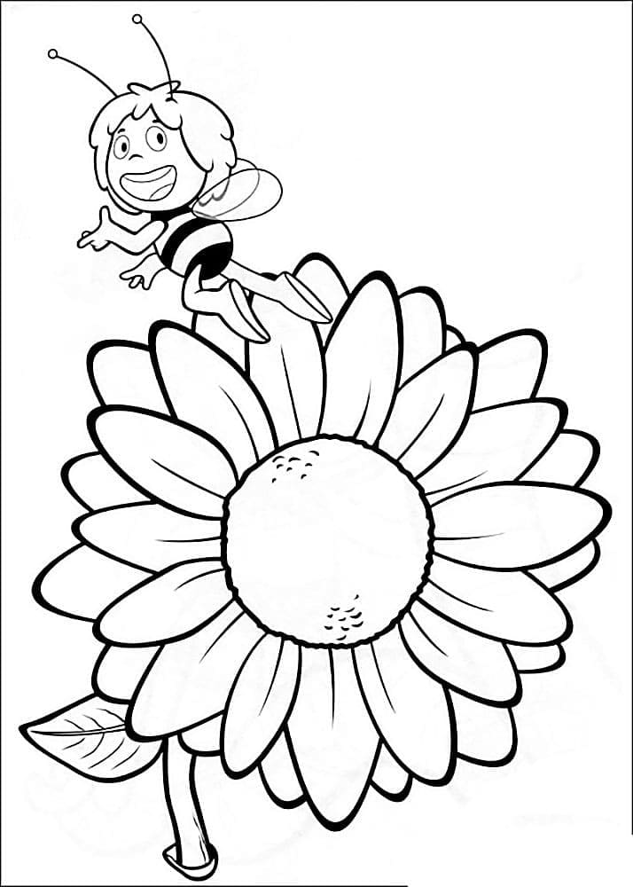 Desenho Da Abelha Maia e Lindo Girassol Para Colorir