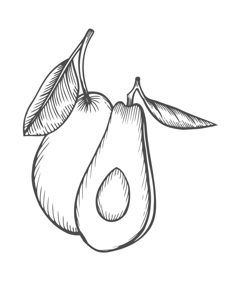 Desenho De Abacate Para crianças Para Colorir
