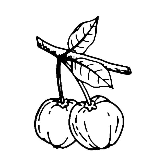 Acerola para Colorir