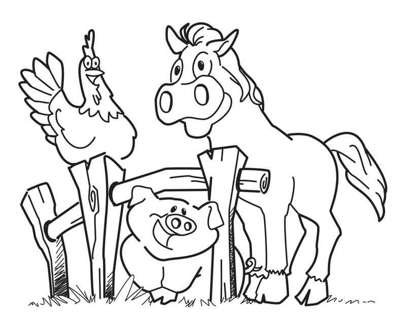 Desenho Fazenda Com Cavalo Galinha e Porco Para Colorir
