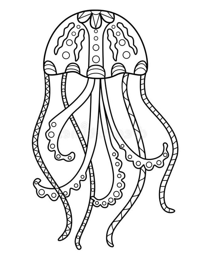 Desenho De água Viva Para Adultos Para Colorir