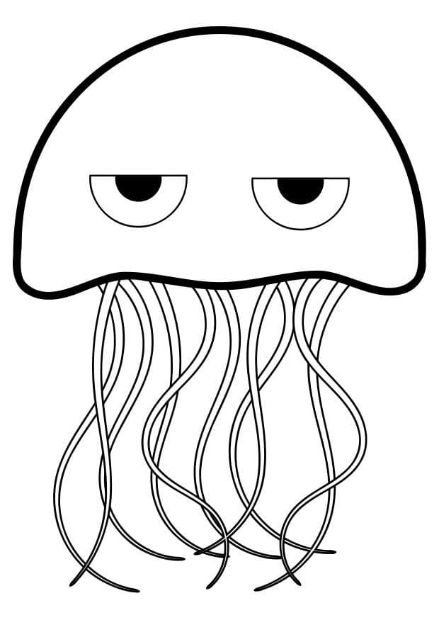 Desenho De água Viva Sem paciência Para Colorir