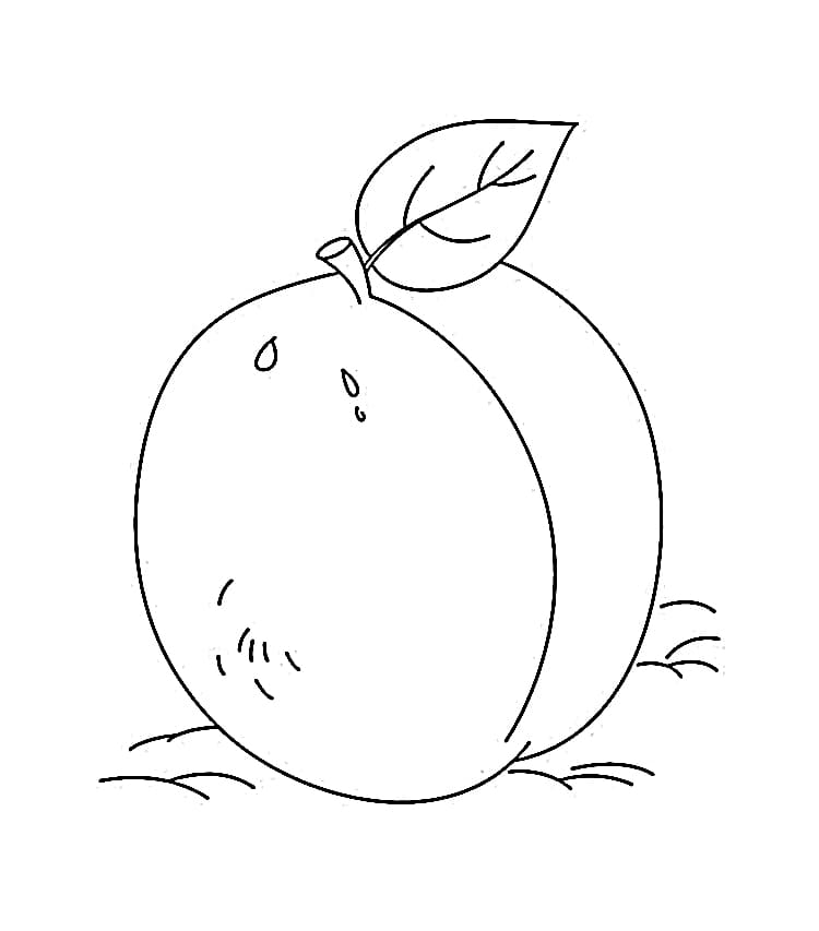 Desenho De Ameixa grátis Para crianças Para Colorir