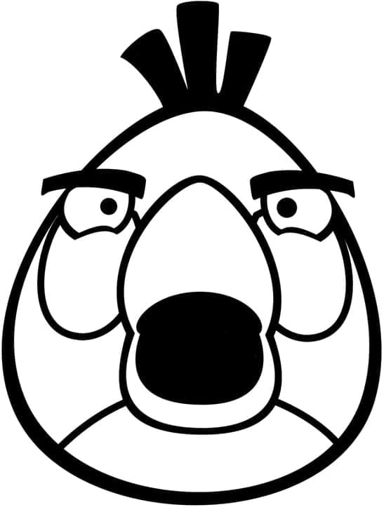 Desenho Angry Birds pássaro Matilda Para Colorir
