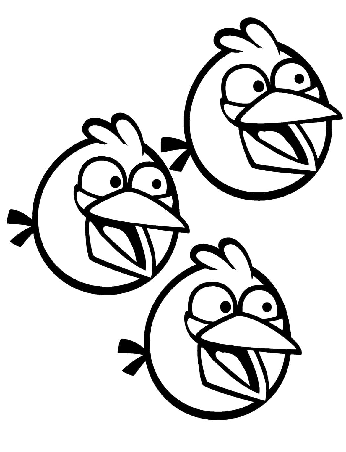 Desenho Angry Birds três pássaros Azuis Para Colorir