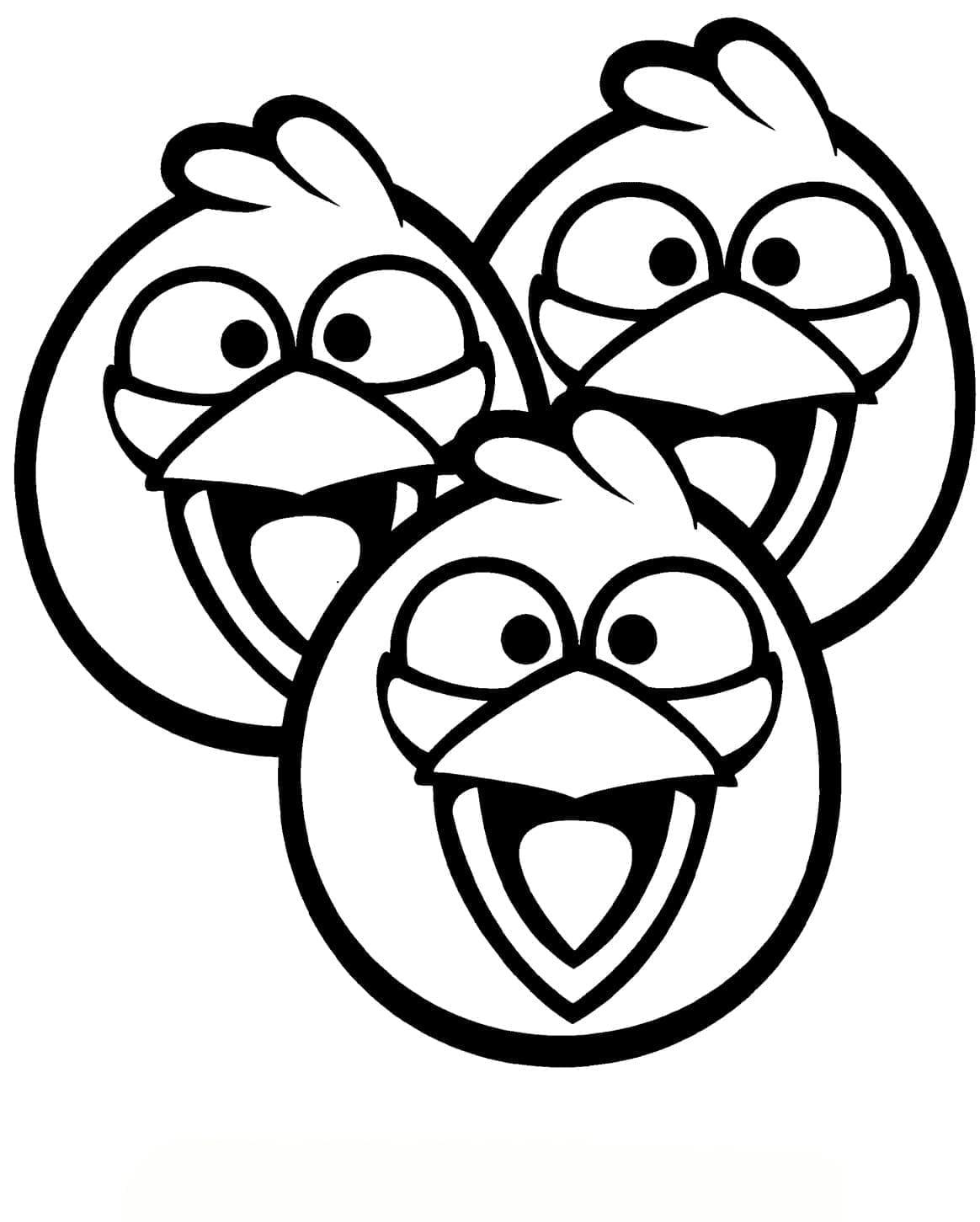 Desenho De Angry Birds pássaros Jay Jake e Jim Para Colorir