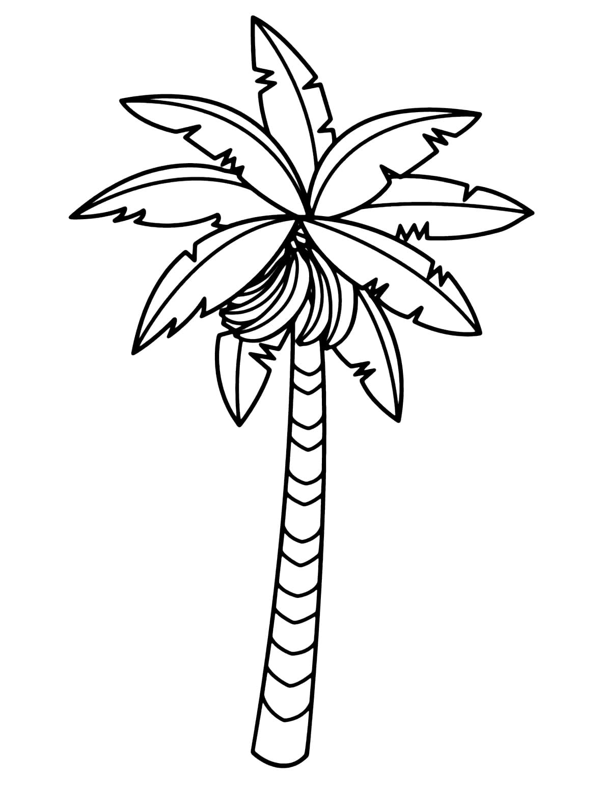 Bananeira para Colorir