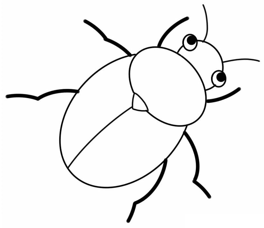Desenho Besouro Fofo Para Colorir