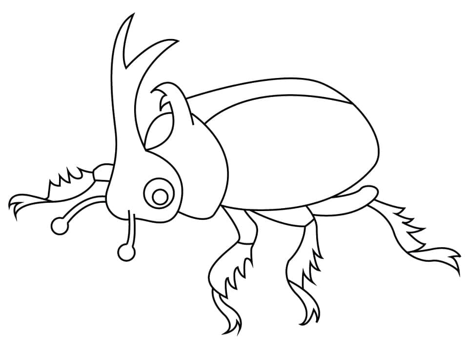 Desenho Besouro Rinoceronte 2 Para Colorir