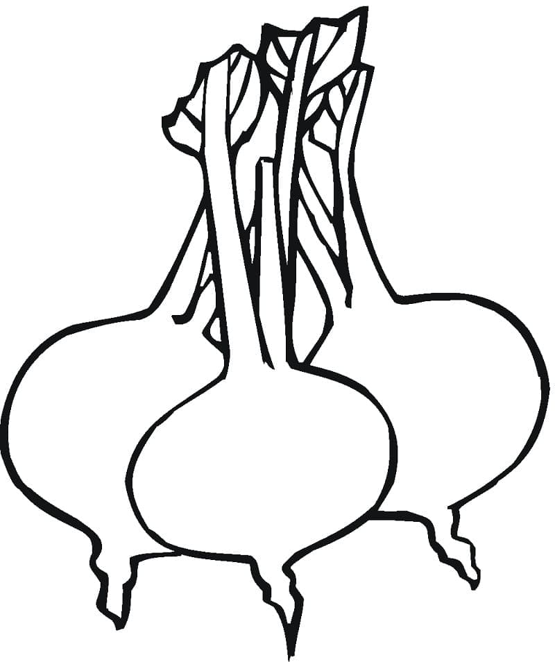 Beterraba para Colorir