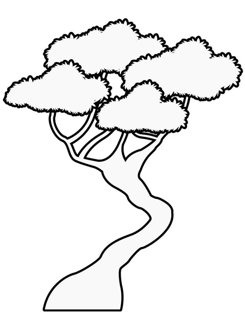 Desenho De Bonsai Lindo Para Colorir e Imprimir Pdf grátis