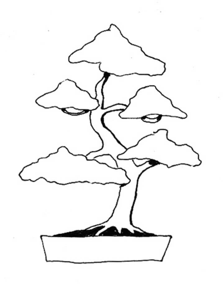 Bonsai para Colorir