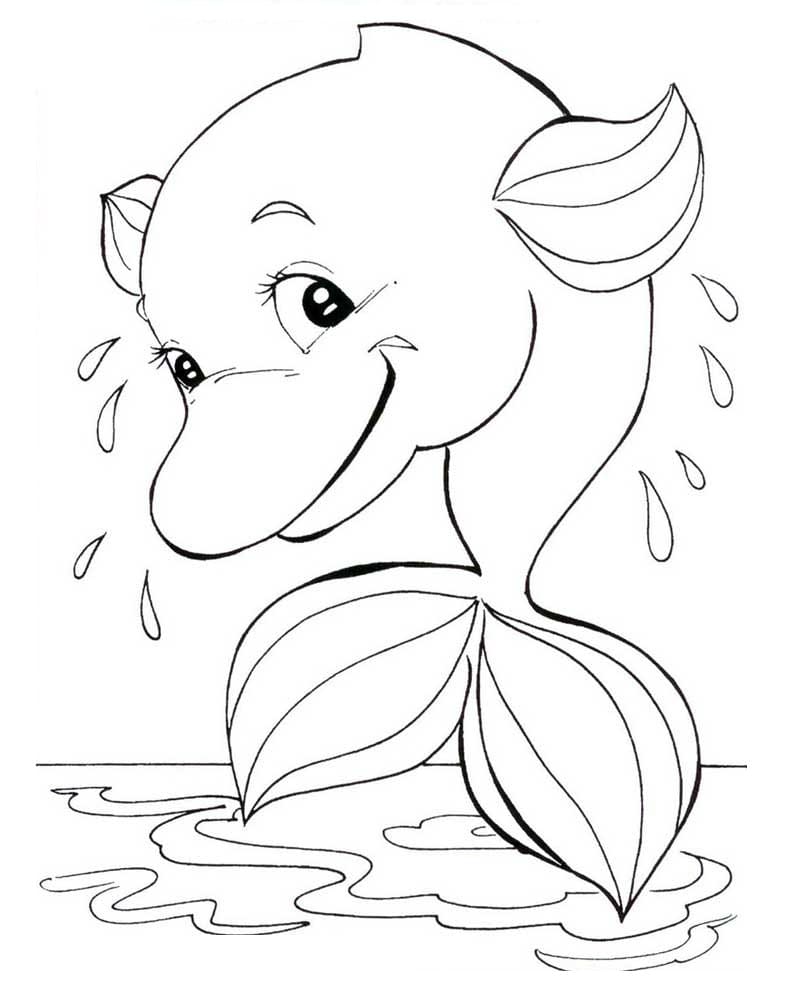 Desenho De Lindo Boto Cor De Rosa Para Colorir