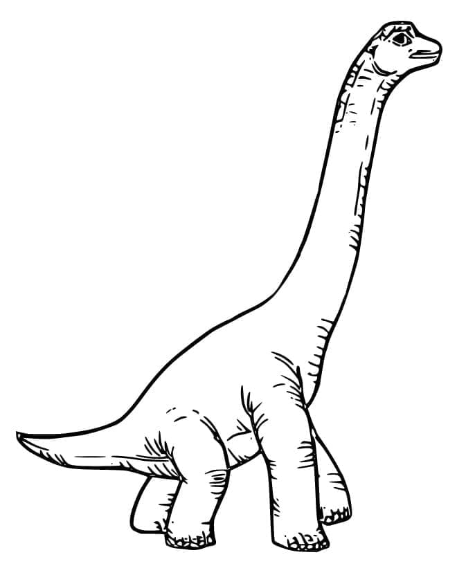 Desenho De Braquiossauro Gigante Para Colorir