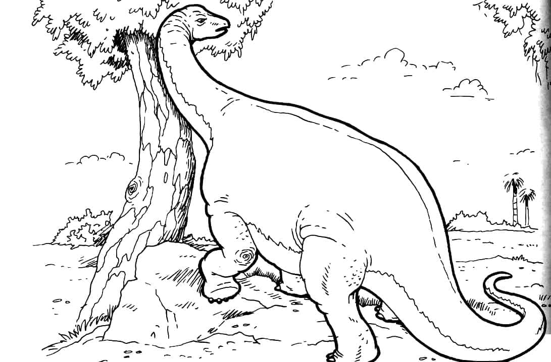 Desenho De Um Braquiossauro Para Colorir
