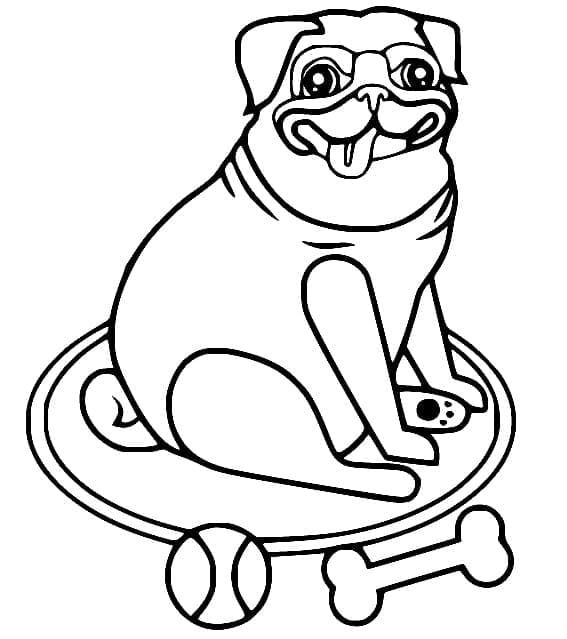 Desenho De Pug engraçado Para Colorir