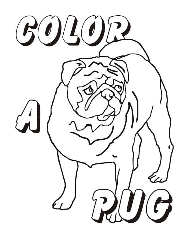 Desenho De Pug Para crianças Para Colorir