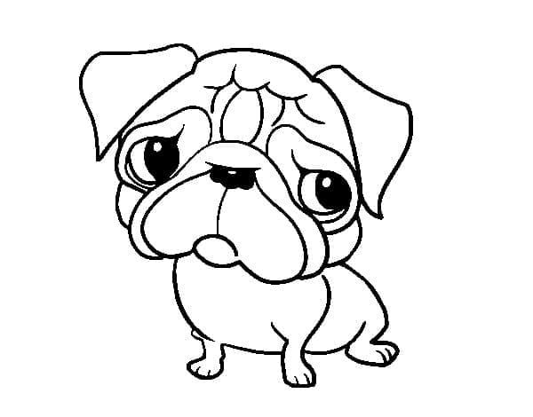 Desenho De Um Cachorrinho Pug Para Colorir