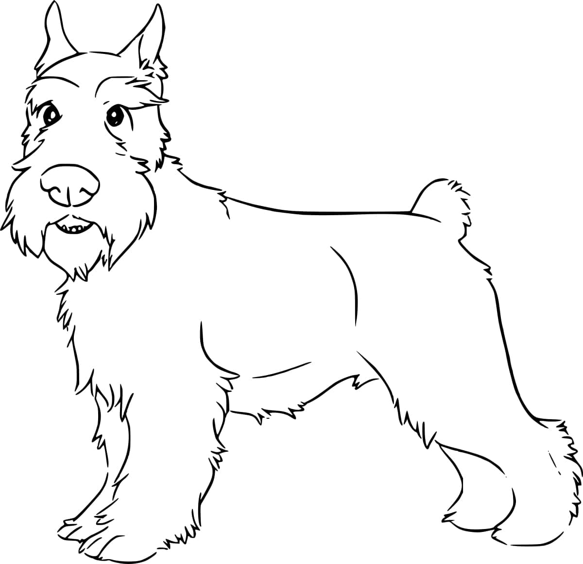 Desenho De Imagem Do Schnauzer Para Colorir