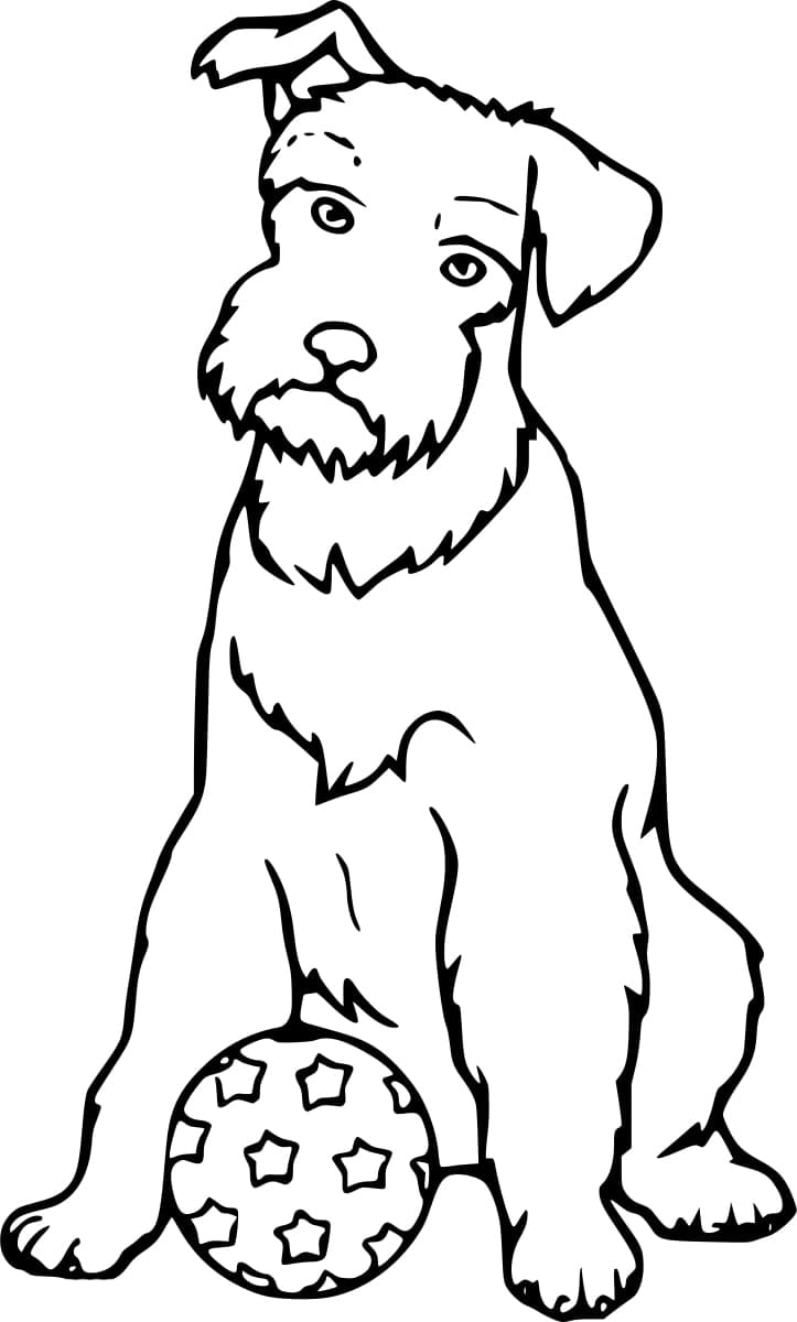 Desenho De Schnauzer e Uma Bola Para Colorir