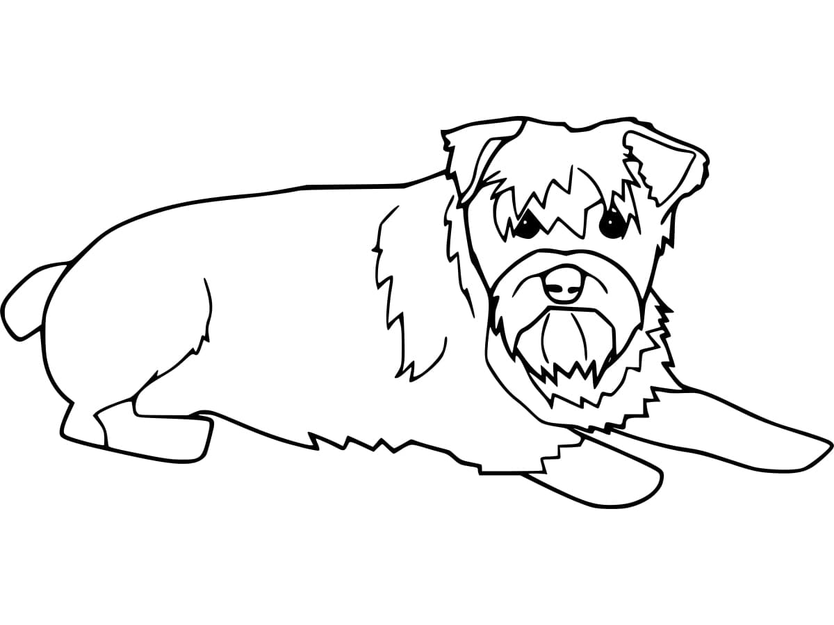 Desenho De Schnauzer Para crianças Para Colorir