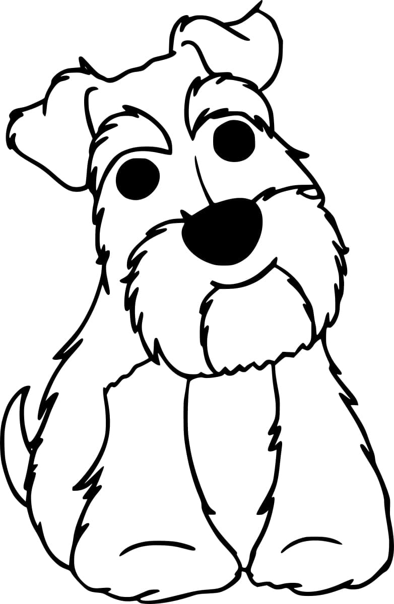 Cachorro Schnauzer para Colorir