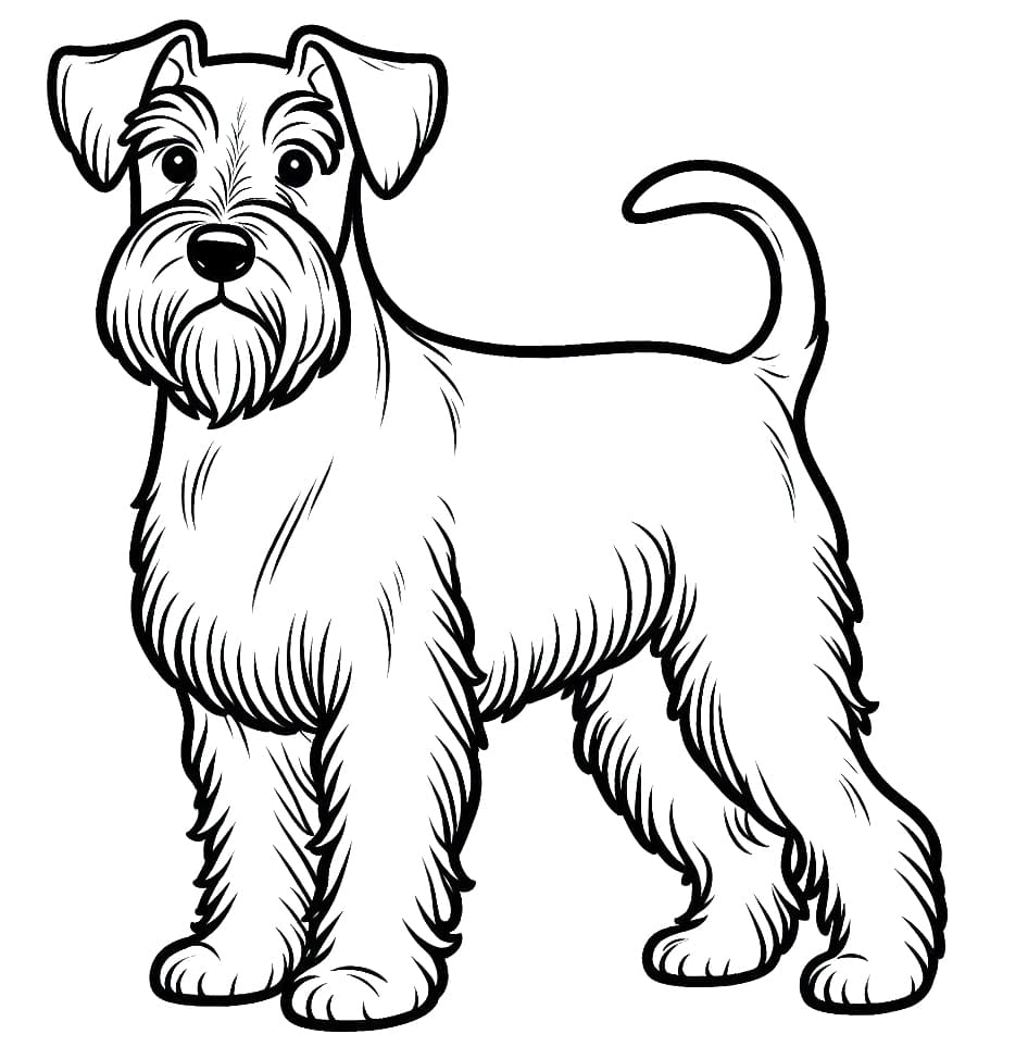 Desenho De Um Schnauzer Para Colorir
