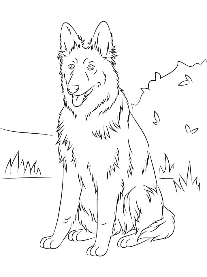 Desenho De Cachorro Pastor alemão Em Passeio No Parque Para Colorir