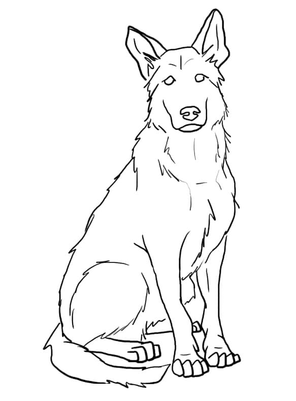 Desenho De Cachorro Pastor alemão Sentado Para Colorir