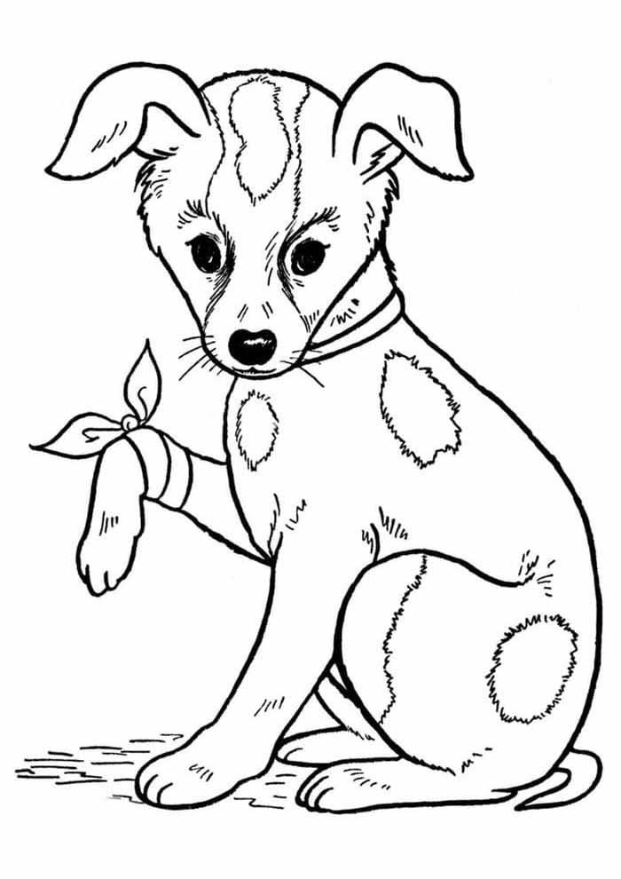 Desenho De Pobre cão Para Colorir