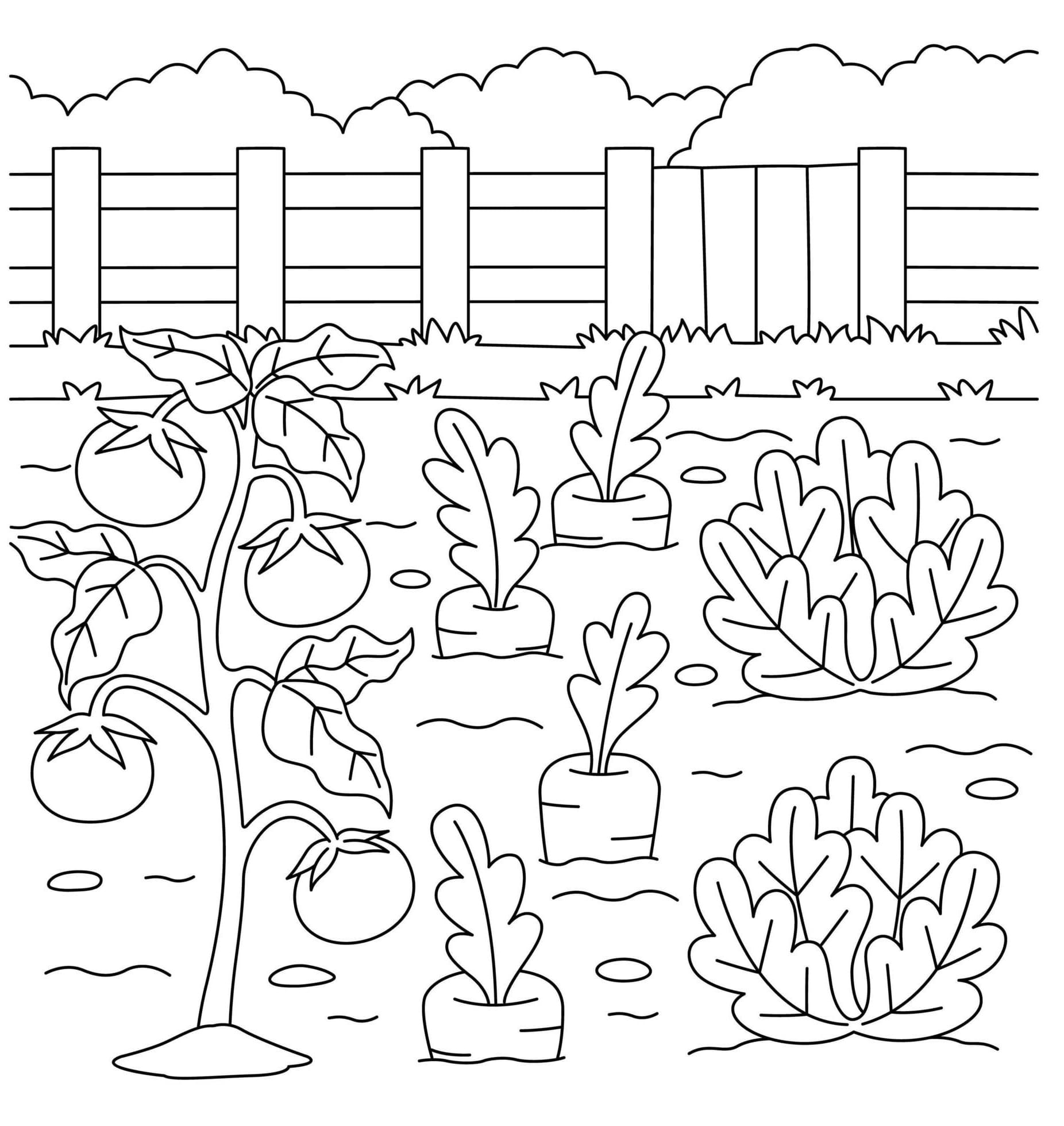 Desenho De Bela Horta Para Colorir