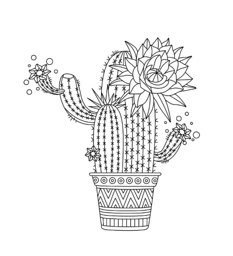 Desenho De Lindo Cacto Para Colorir