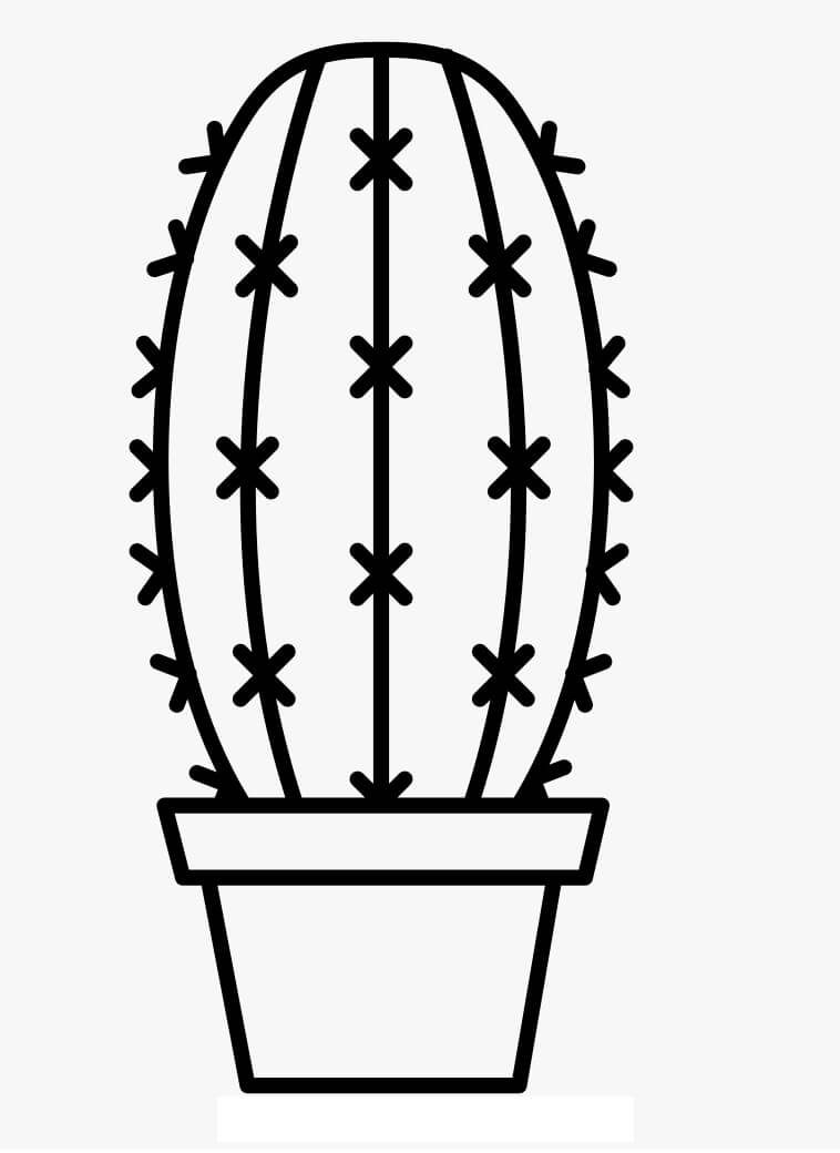 Desenho Cacto Simples Para Colorir