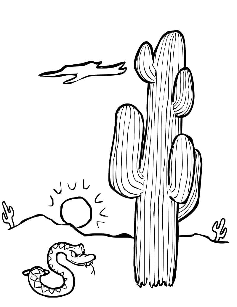 Desenho De Cacto e cobrá Para Colorir