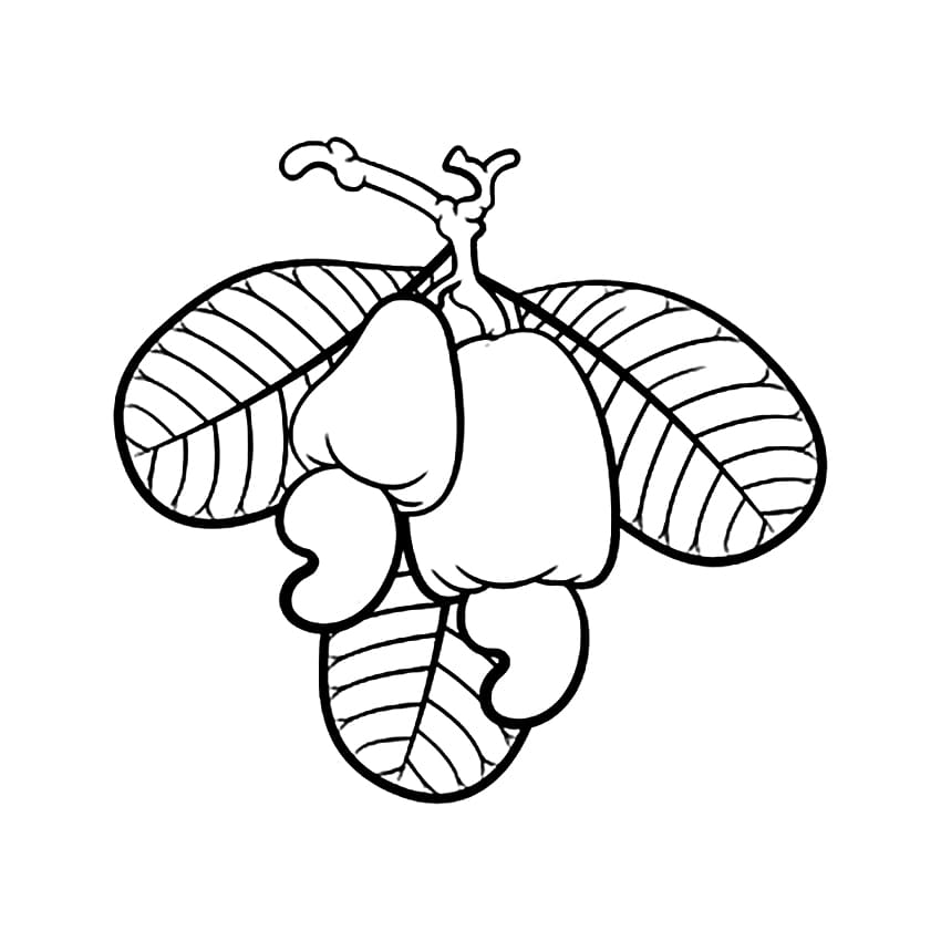 Desenho Pdf De Caju Para Colorir