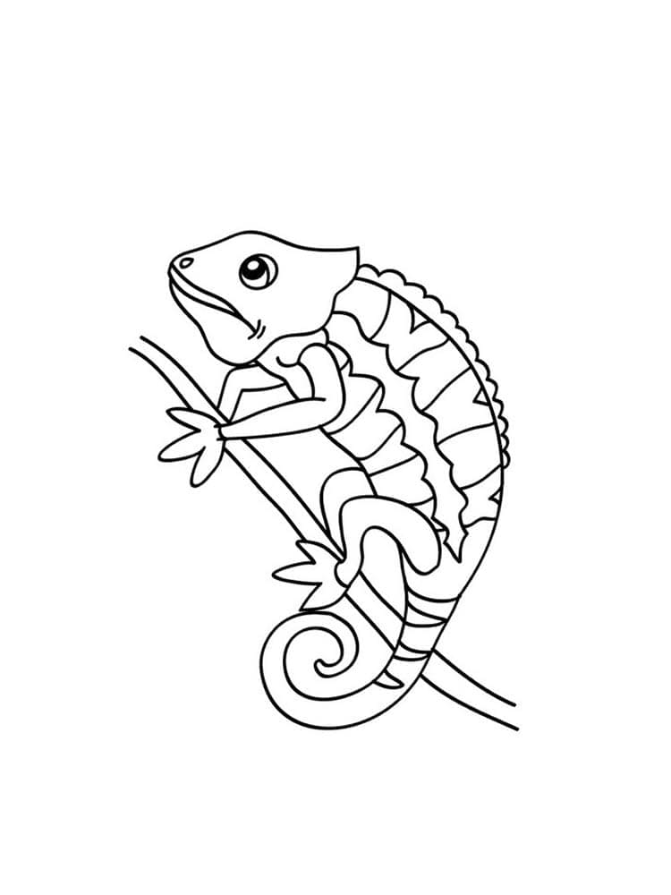 Desenho camaleão Na árvore Para Colorir