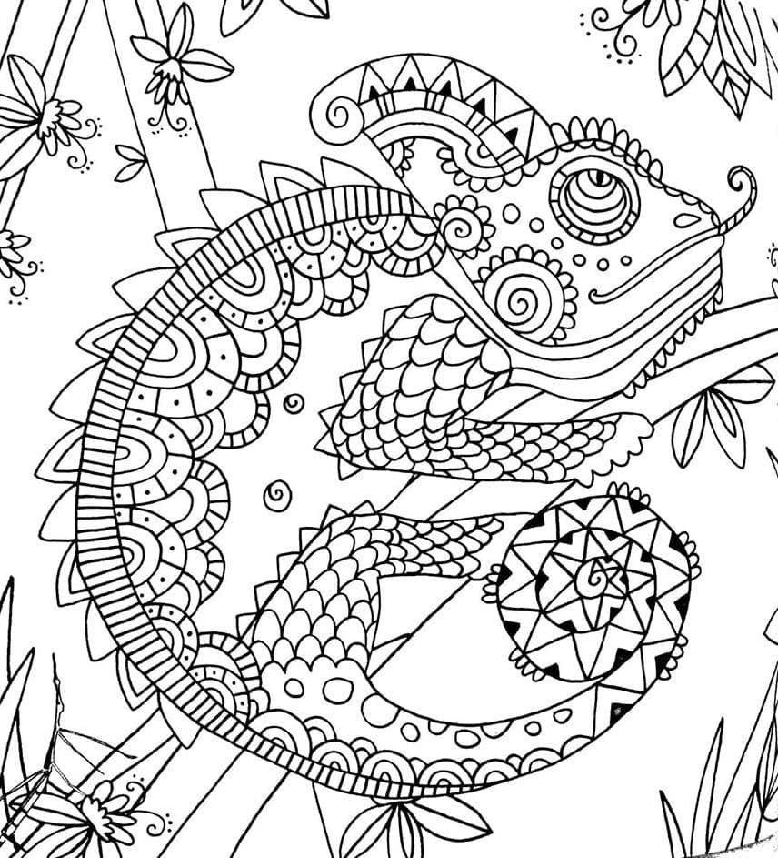 Desenho De camaleão Detalhado Para Colorir e Imprimir