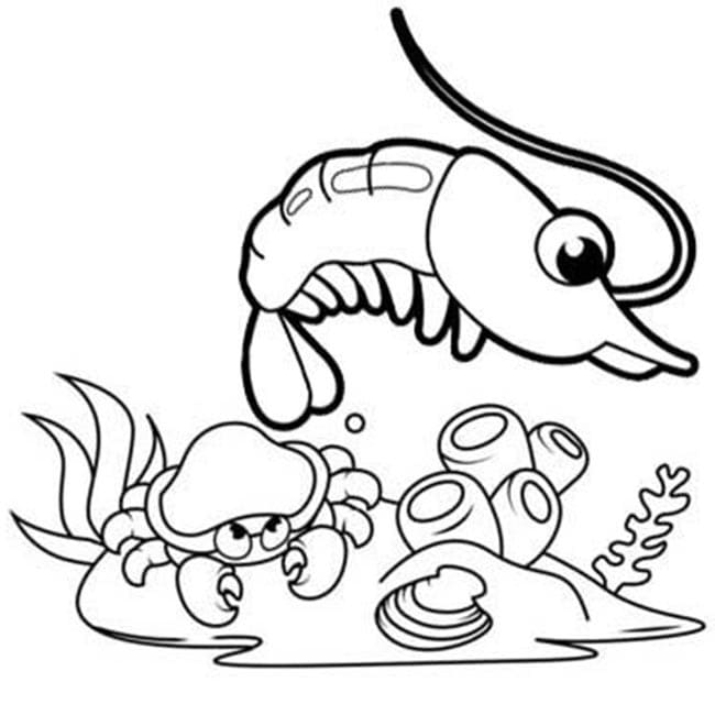 Desenho De camarão e Caranguejo Para Colori