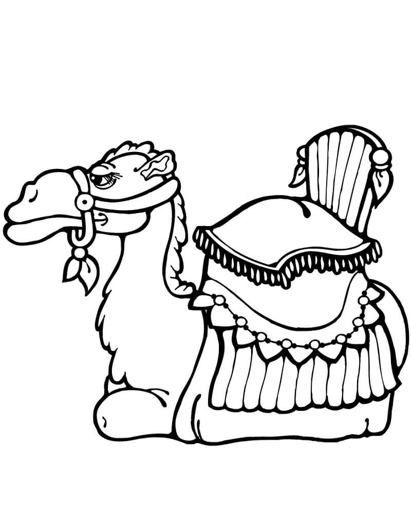 Desenho De Camelo engraçado Infantil Para Colorir e Imprimir