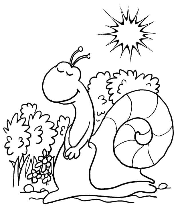 Desenho De Caracol amigável Para Colorir
