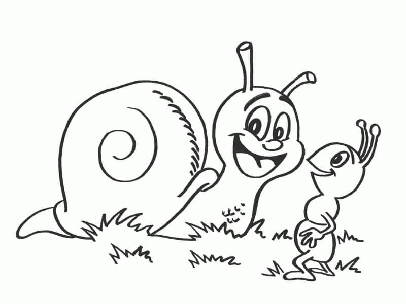 Desenho De Caracol e formigá Para Colorir