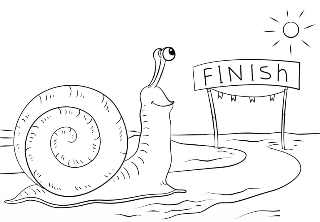Desenho De Imprimivel Caracol Para Colorir