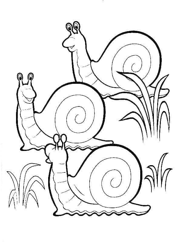 Desenho De três caracóis Para Colorir