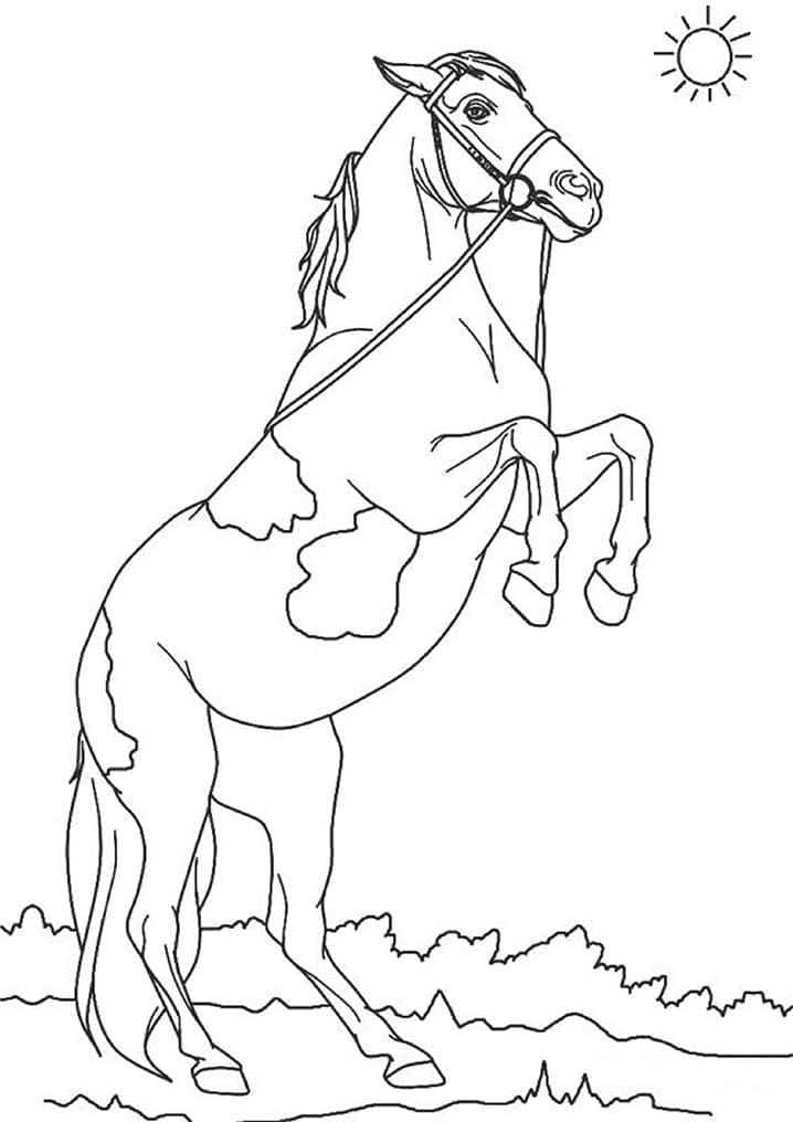 Desenho De Um Cavalo Para Colorir