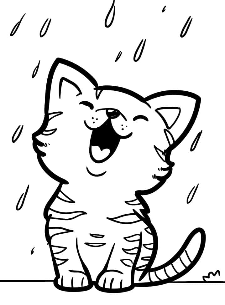 Desenho Gatinho Na Chuva Para Colorir