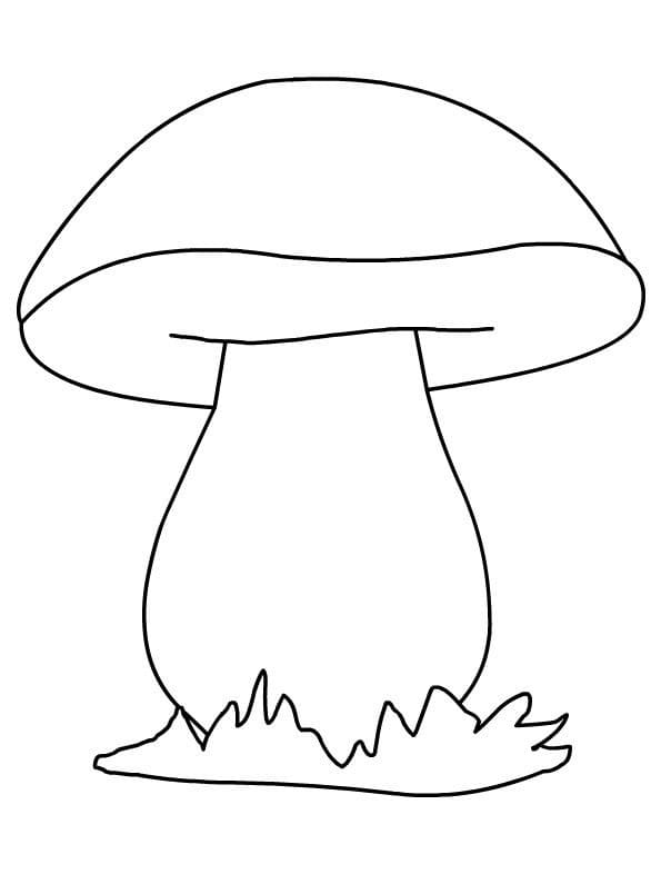 Desenho Cogumelo fácil Para Colorir