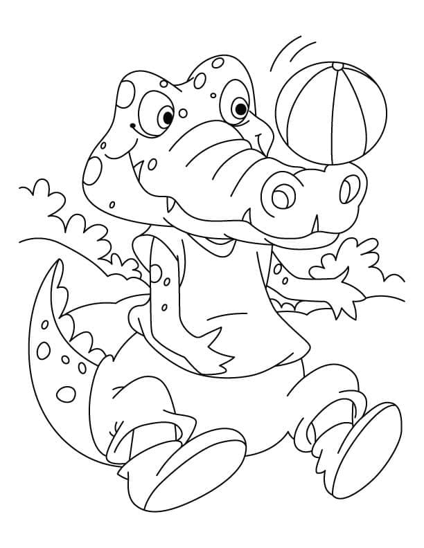 Desenho De Pequeno Crocodilo Para Colorir