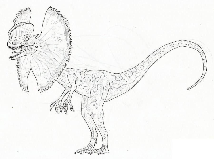 Desenho De Dilofossauro Para crianças De 1 Ano Para Colorir