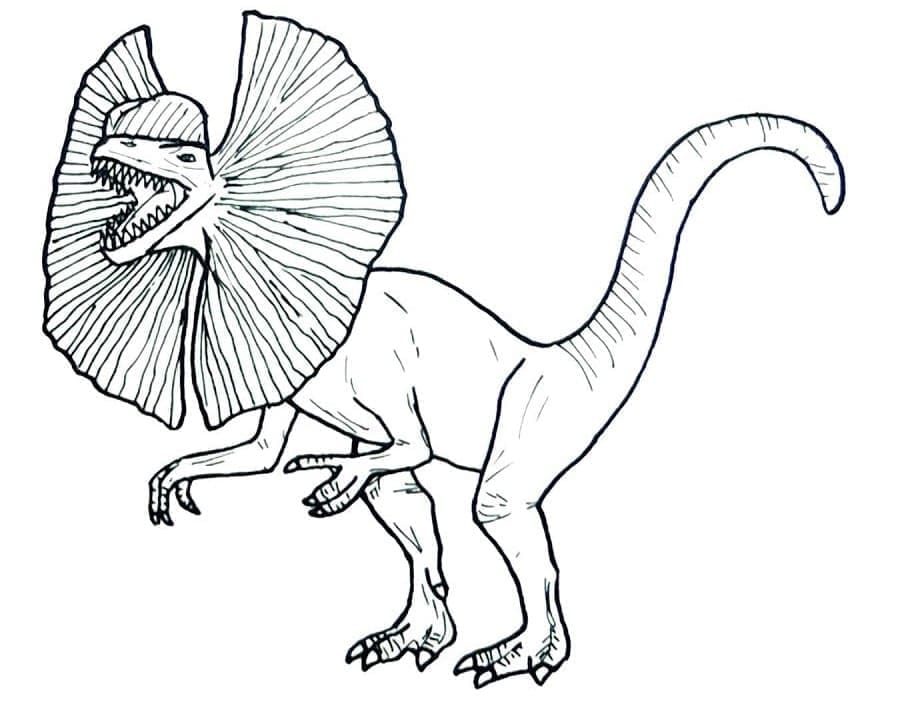 Desenho De Dilofossauro Para crianças De 3 Ano Para Colorir